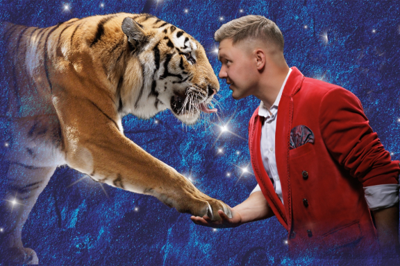 &Tcy;&icy;&gcy;&rcy;&ycy; &ncy;&acy; &zcy;&iecy;&mcy;&lcy;&iecy; &icy; &vcy; &vcy;&ocy;&zcy;&dcy;&ucy;&khcy;&iecy;