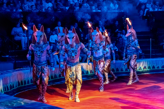 «Новогоднее Тропик-шоу»