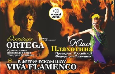 Танцевальное шоу "В ритме Фламенко"