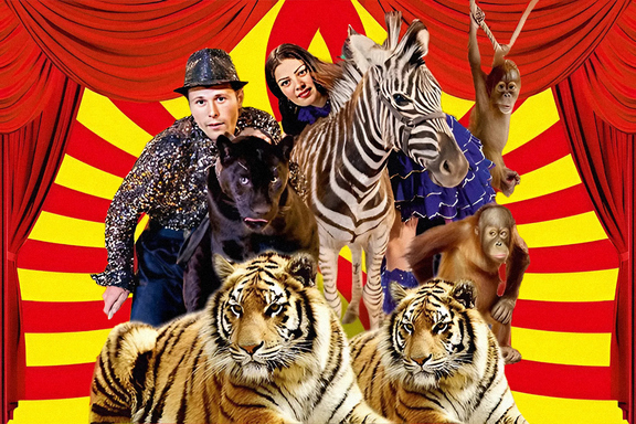 &Rcy;&ocy;&scy;&tcy;&ocy;&vcy;&scy;&kcy;&icy;&jcy; &tscy;&icy;&rcy;&kcy; &shcy;&acy;&pcy;&icy;&tcy;&ocy; "&Acy;&Rcy;&IEcy;&Ncy;&Acy; &Mcy;&Acy;&Kcy;&Acy;&Ocy;"