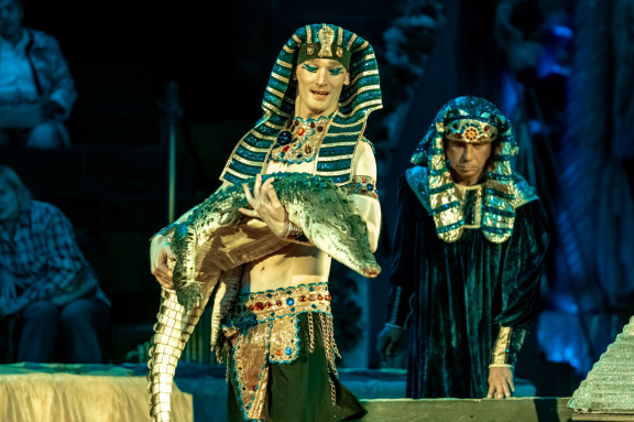 «Новогоднее Тропик-шоу»