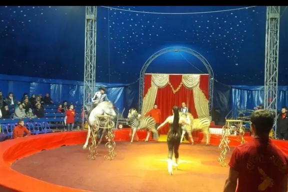 &Rcy;&ocy;&scy;&tcy;&ocy;&vcy;&scy;&kcy;&icy;&jcy; &tscy;&icy;&rcy;&kcy; &shcy;&acy;&pcy;&icy;&tcy;&ocy; "&Acy;&Rcy;&IEcy;&Ncy;&Acy; &Mcy;&Acy;&Kcy;&Acy;&Ocy;"