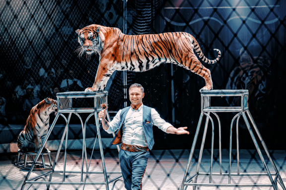 &Tcy;&icy;&gcy;&rcy;&ycy; &ncy;&acy; &zcy;&iecy;&mcy;&lcy;&iecy; &icy; &vcy; &vcy;&ocy;&zcy;&dcy;&ucy;&khcy;&iecy;